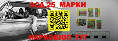 гидра Новодвинск