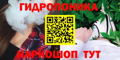 гидра Новодвинск