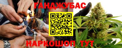 спиды Новозыбков