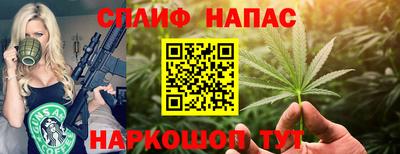 спиды Новозыбков